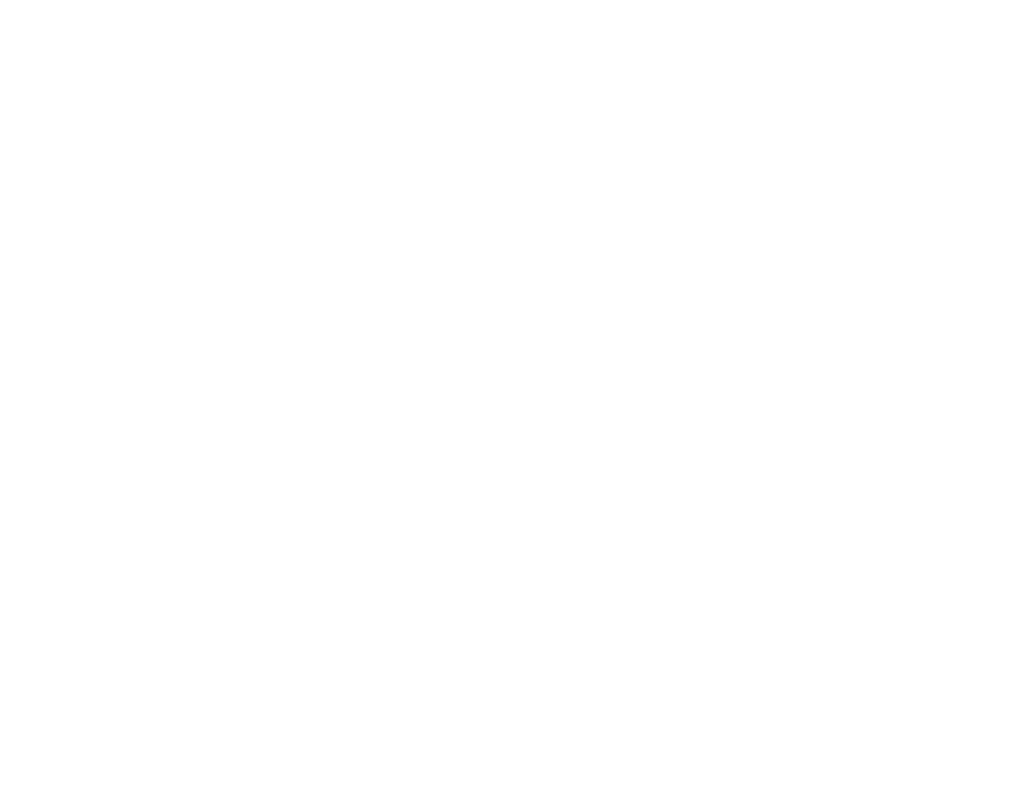 Boston Chimney Sweep